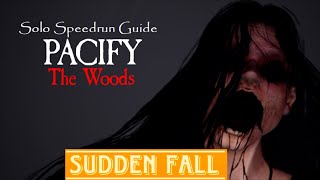 Pacify The Woods Speedrun Solo, Beat the Developer III Achievement Guide, Xbox one, Series S/X