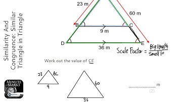 Similarity And Congruence: Similar Triangle in Triangle (Find Smaller) (Grade 5) - Maths Revision