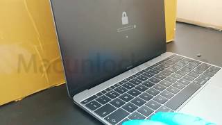 Celebrity EFI Card instant unlock or fix corrupted Apple MacBook EFI BIOS (Solderless EFI Chip) Net Worth