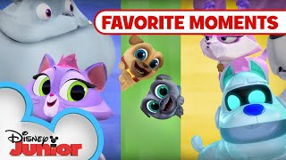 Puppy Playcare Part 1!  Compilation | Puppy Dog Pals | Disney Junior