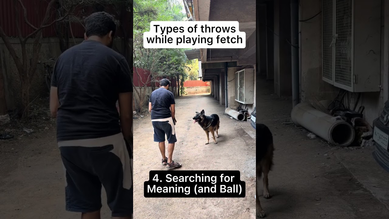 Types of throws in the game of fetch!!!