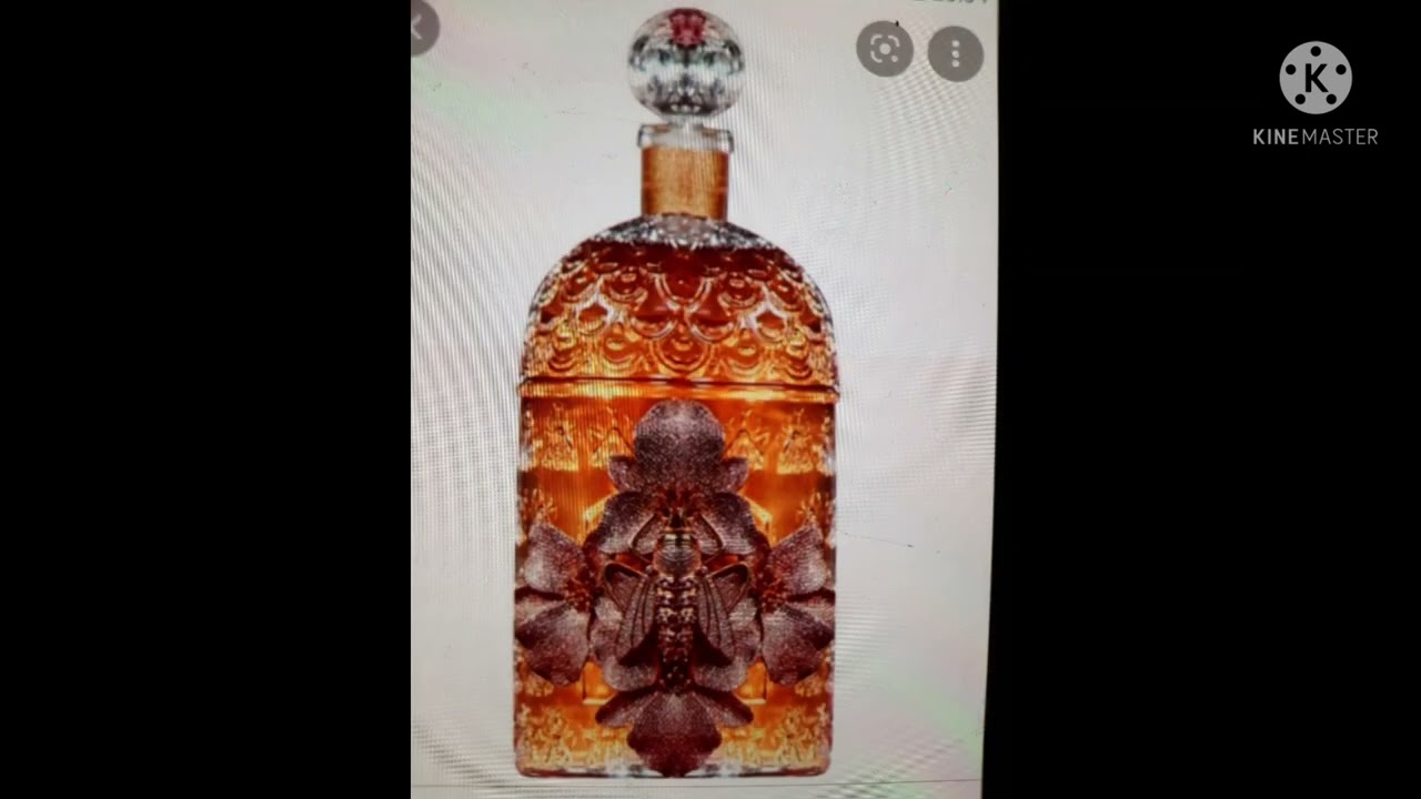 Merovingian Dynasty - The Symbol