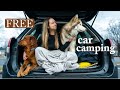 Car Camping In My Subaru Forester | Missing Vanlife