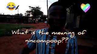 Meaning of nincompoop