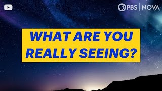 What You’re Probably Seeing If You Spot a UFO | NOVA | PBS Profile