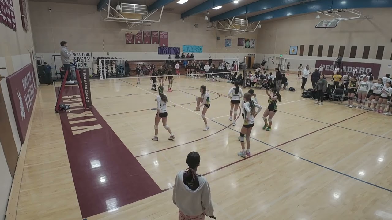 Academy HP3 N vs Ova Ginger 15 (set 1)