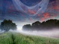 Capture de la vidéo Natural World By Lisa Lynne
