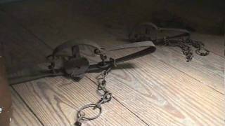 Details Tour Annapolis: Hogshead Guide
