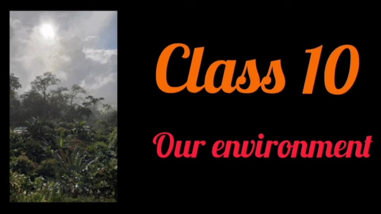 Class 10 ecosystem biodegradable and non biodegradable  ,role of decomposer 