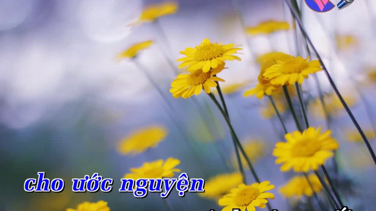 GIA TU KARAOKE HD