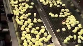 LINEA GNOCCHI 200 KGH
