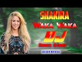 Shakira Waka Waka This Time For Africa New Dj Song 2023