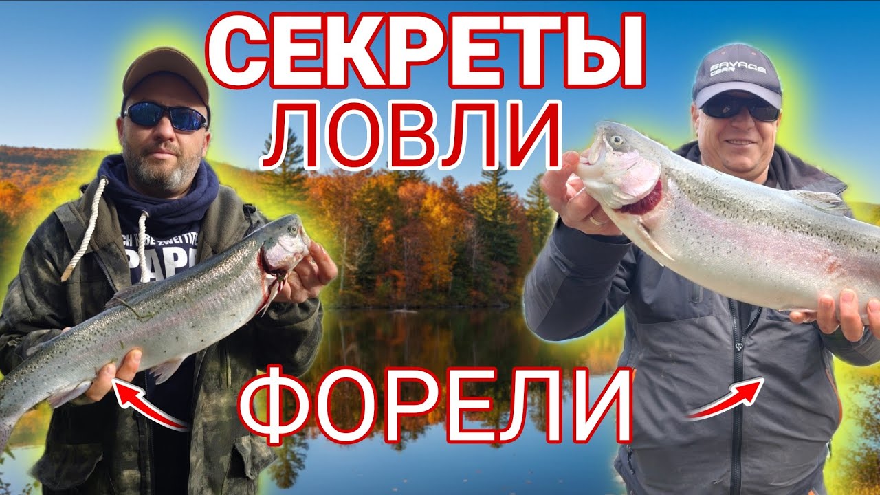 Ловля Крупной ФОРЕЛИ \ Доступ к Секретному Пруду в Германии !