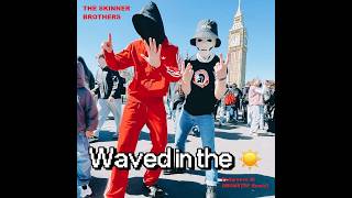 The Skinner Brothers - Waved In The Sun (Philgroove AI Drumstep Remix)