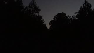 Bigfoot Screams
