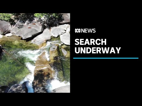 Search for missing Brisbane man who disappeared while swimming at Babinda Boulders | ABC News