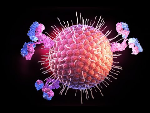 Chimeric Therapeutics (ASX:CHM) is headed for the CAR-T 'Big Time'