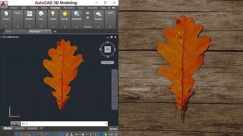 AutoCAD 3D Modeling | Autumn "Acorn Leaf"