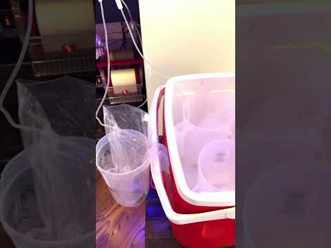 AccuDrip Fish /