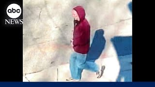 Famous Dozens of homemade pipe bombs found in suspect's New York home, police say Net Worth