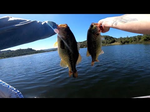 Last Minute Fish Clutches Our Tournament! (Santa Margarita Bass Fishing)