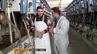 ZİRAİ HAYVANCILIK - SÜT SIĞIR YETİŞTİRİCİLİĞİ