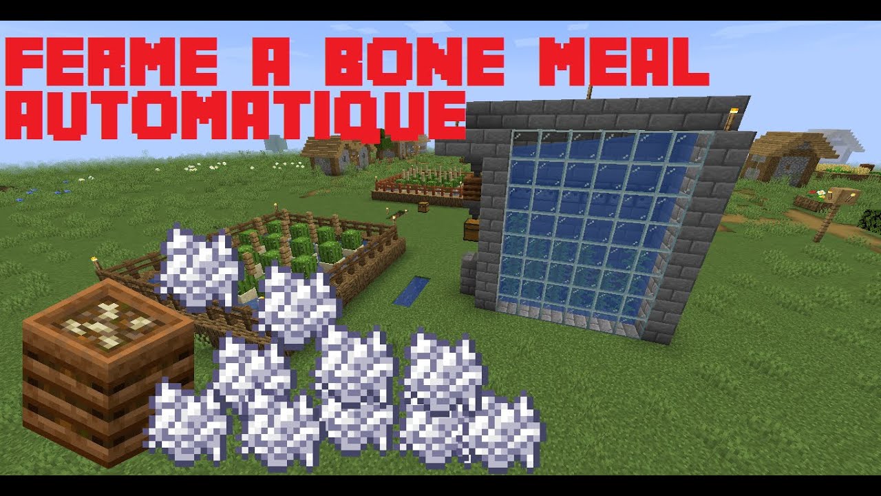 2 Fermes à Bone Meal (poudre d'os) 100% automatique Minecraft 1.15