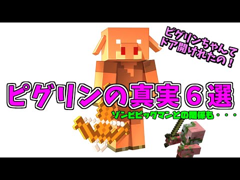 [マイクラ] 村人以前の村人？ピグリン真実６選！※ナバの考察あり！[Minecraft]