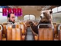 EL AUTOBÚS Y EL OSO LOCOS | PARTY HARD Gameplay Español