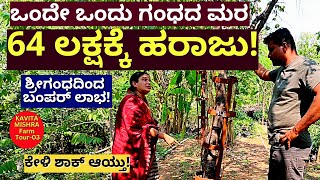 FARM TOUR-"64 ಲಕ್ಷಕ್ಕೆ ಮಾರಾಟವಾಯ್ತು ಒಂದೇ ಒಂದು ಗಂಧದ ಮರ!"-E03-Kavita Mishra Farm-Kalamadhyama-#param