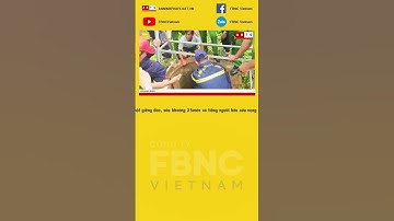 Người đàn ông 4 ngày rơi xuống giếng sâu 25m, ăn lá cây cầm cự #shorts
