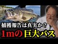 【村田基】※1mの巨大バスが捕獲された!?※【村田基切り抜き】