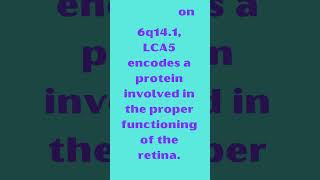 LCA5 Leber Congenital Amaurosis 5