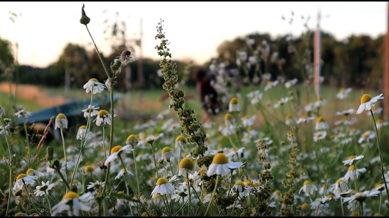 #1 en toen woonde we in Frankrijk!