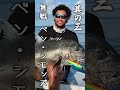【全員今NBA選手じゃない】221cmの二世選手/ぽっちゃりメガネ男子/元NBAスター#クーズ男 #nba #ベンシモンズ#ロビーアビーラ#bジョ