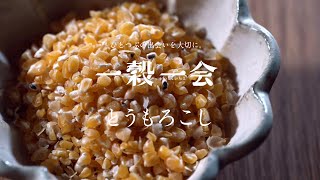 一穀一会（とうもろこし）編