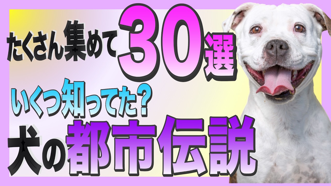 これやってたら要注意！犬のしつけでやってはいけないこと