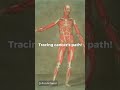 Positron in PET scan explained with Python simulation. #PETScan #MedicalPhysics #Python #Shorts