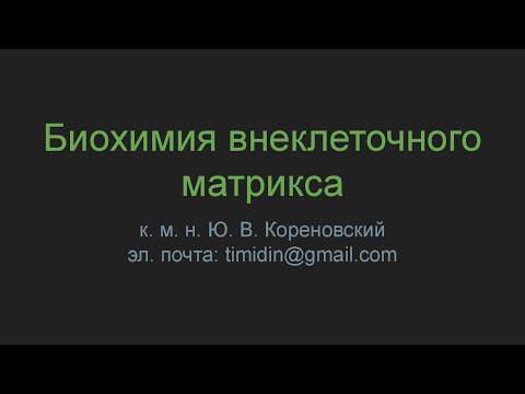 Биохимия внеклеточного матрикса