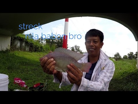 mancing-ikan-nila-babon