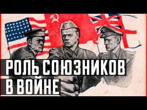 Видео: Какова роль национальных союзов?