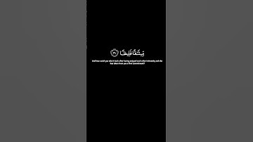 سوره النساء " صفحه 5 " 1 | الورد اليومي بصوت الشيخ ناصر القطامي 🖤