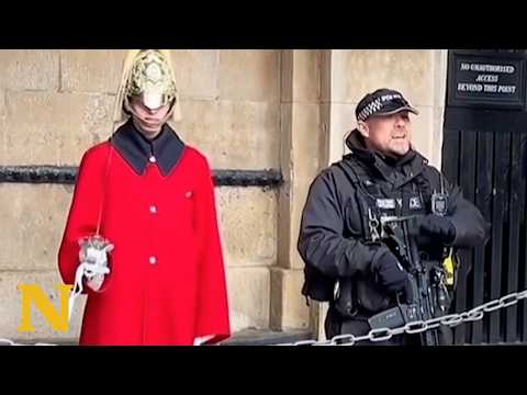 Royal Guard Confronts American Tourists Who Went Too Far