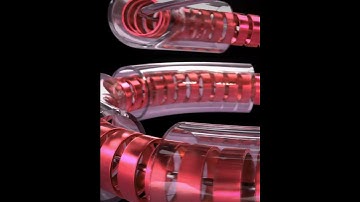 Discover the Curves - #blender  #3d  #b3d #render #cgi #motiongraphics  #cycles #animation