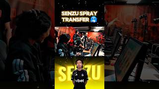 The SPRAY TRANSFER from SENZU 🥶 | Passion UA #cs2 #csgo #mongolia #senzu #passionua #spray