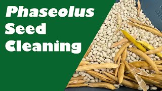 Phaseolus Seed Cleaning at WRPIS
