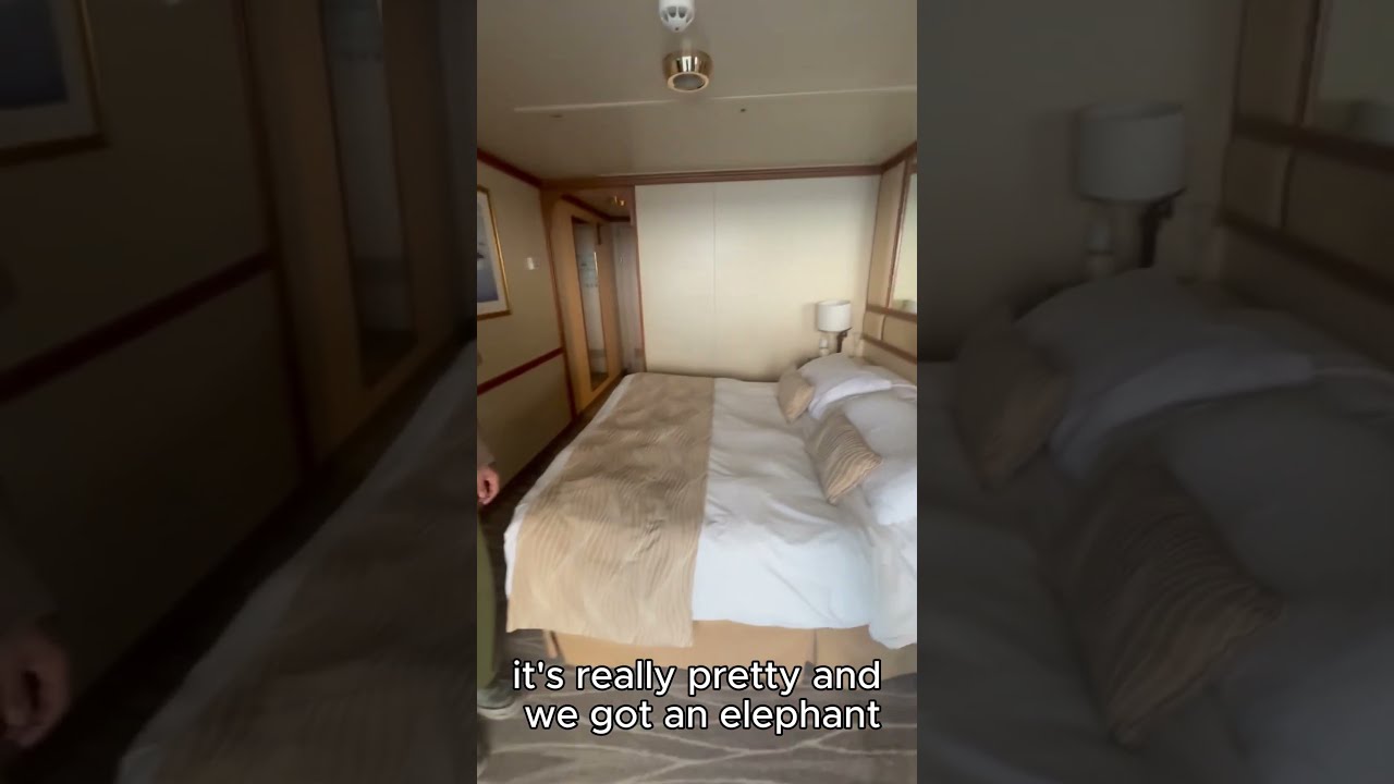 When You Find a Towel Elephant in Your Cabin 🐘😂 #CruiseLife #Shorts