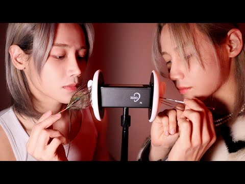 ASMR 자극적인 쌍둥이 귀청소 (Twin Ear Cleaning)