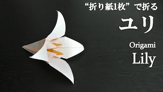 折り紙1枚 簡単 立体で可愛い花 ユリ の折り方 How To Fold A Lily With Origami Easy Flower Youtube 折り紙1枚 簡単 立体で可愛い花 ユリ の折り方 How To Fold A Lily With Origami Easy Flower Youtube