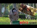 ניידת החלומות - משחקי בילוש